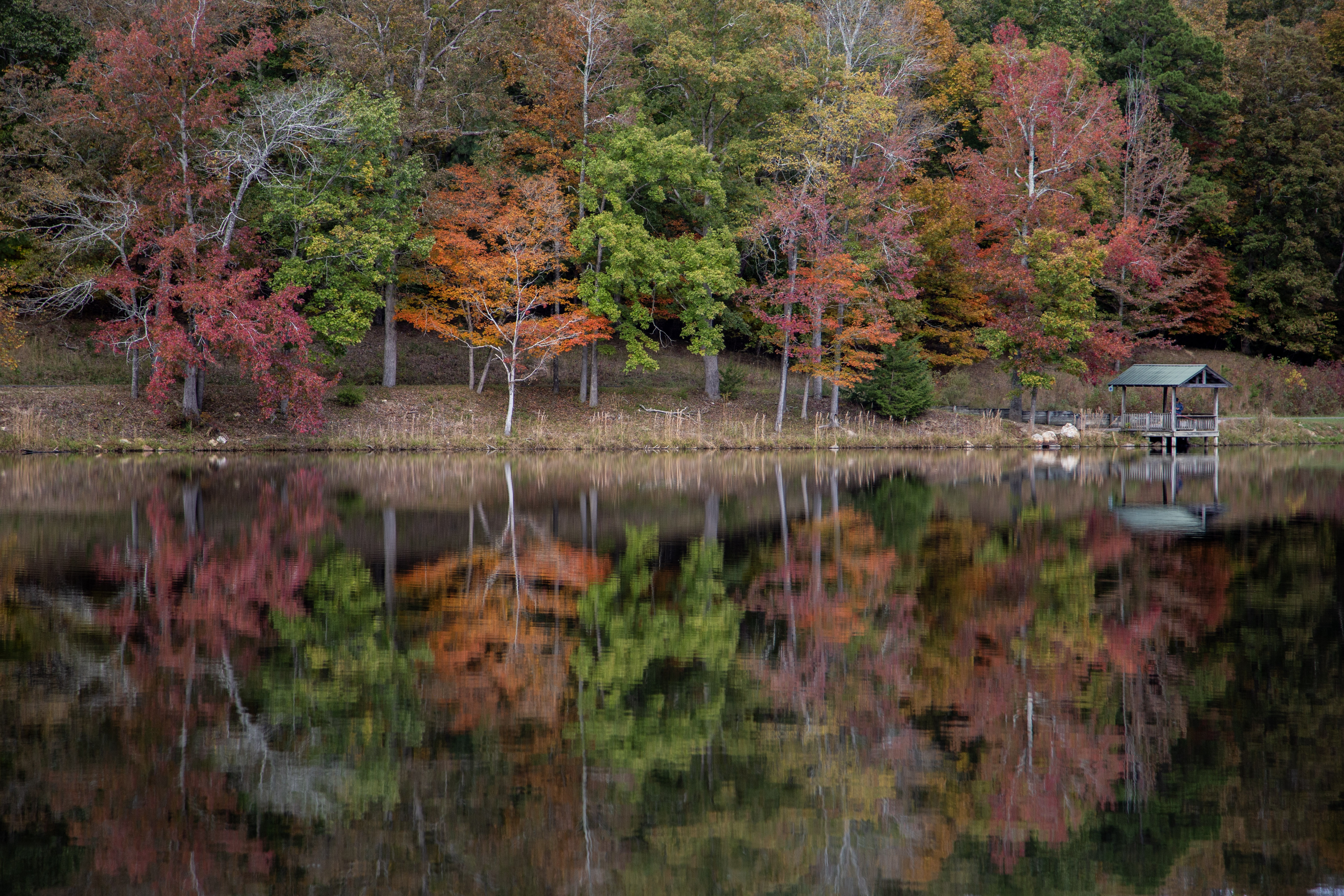 Reflections on a lake